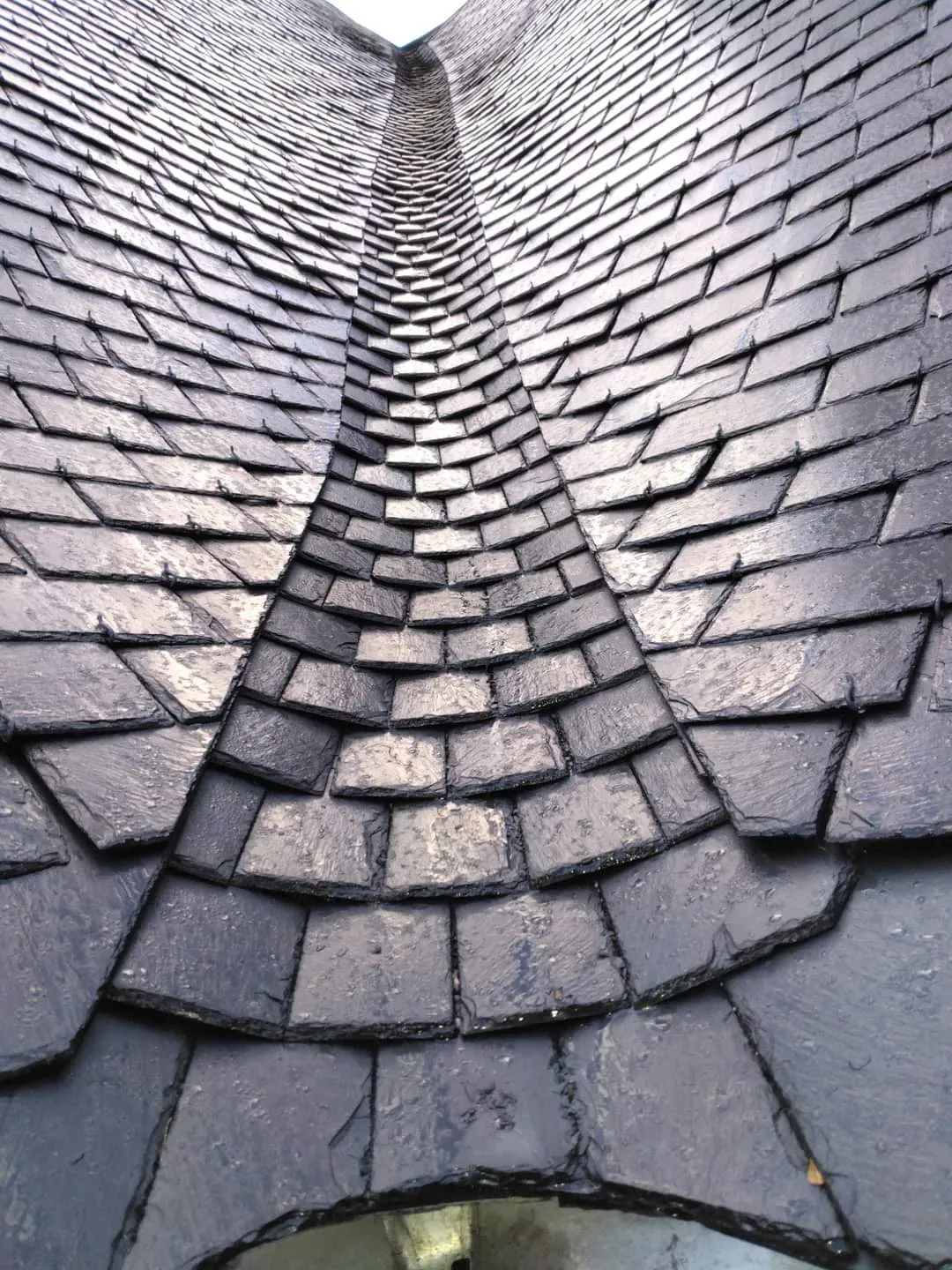 demoussage de toiture dinan