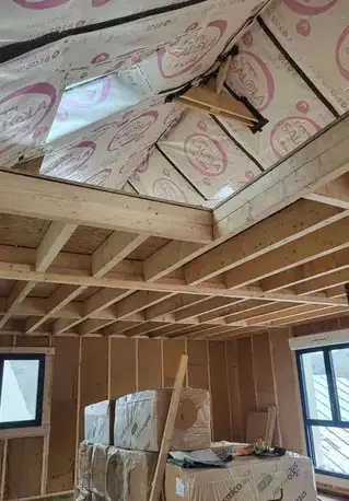 démoussage de toiture Pleudihen-sur-Rance-3