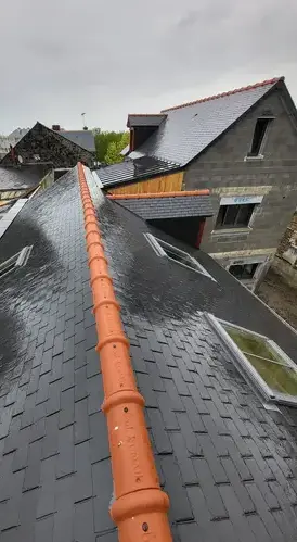 démoussage de toiture Pleudihen-sur-Rance-4